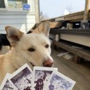 운교산방 이미지