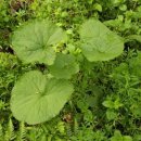 해오름농장-2 이미지