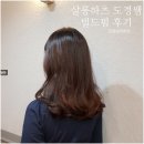 청담 압구정미용실 살롱하츠 금손 김도경디자이너쌤에게 빌드펌 받고 왔어요♪