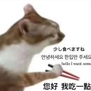 샤인모텔 | 하루 한줄 135.
