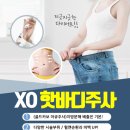 바디슬림미