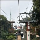 꼭지식당 | 마쓰야마 여행_마쓰야마성 리프트/수도꼭지 귤주스/미츠코시백화점 스시/가챠