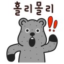 청년피자화북삼화점