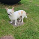 제부 포레스트 이미지