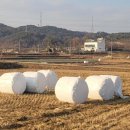 대덕구 평생학습관 이미지