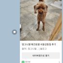 멍그니엘 이미지