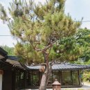 모밥