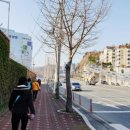 전자디자인고교 버스정류장 이미지