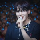 오늘의강아지 이미지