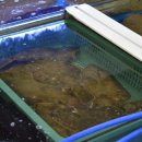 민정수산 이미지