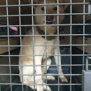 한 동물병원 이미지