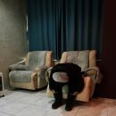 울산제일안과의원 | 울산밝은안과, 드림렌즈 후기, 파라곤 CRT