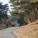 영진1리 이미지