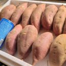 효정농장 이미지