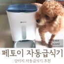 한스테크 | 자동급식기추천 : &#34; 페토이 / 펫토이 자동급식기 &#34; 솔직 장단점 리뷰!