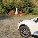 좌화취월 이미지