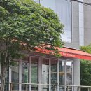 도산대로1길 12 | 신사역 맛집 까사밀 초록초록한 통창 뷰가 예쁜 감성 브런치 솔직후기