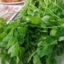 미나리삼겹살 이미지