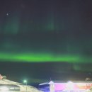 물개스테이 이미지