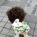 바오헤어(Bao hair)