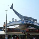 소금강모텔 이미지