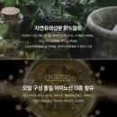 와사비랩