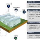 태양팜
