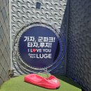 군들 | 청도 군파크 루지 체험 후기