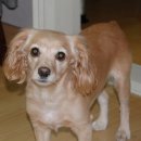 선녀바위로 이미지