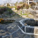 느티나무 할아버지 이미지