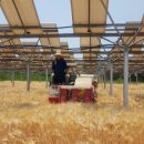 경○ 태양광발전소 이미지