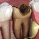 연세플러스치과의원 이미지