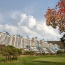 대명 인터내셔널 이미지