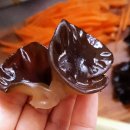 홀-세일마트 이미지