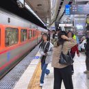 할머니농장 | [대만 이란여행] 타이베이 근교여행 <장메이 할머니 농장 張美阿嬤農場> 카피바라 후기 / 가는방법, 입장권