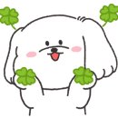 레푸스앤네일봄