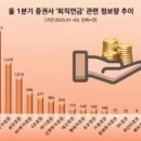O앤 D유통 이미지