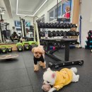 윤PT & GYM 이미지