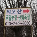 자운대네거리~화암네거리 이미지