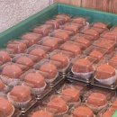 꽈베기 명가 | 용인 수지의 숨은 핫플! 두바이 쫀득 쿠키 명가 '완부제빵소' 방문기