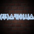 스카이시스 이미지