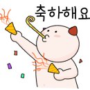 솜렌트카 네이버블로그