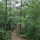 국사봉 전망대 이미지