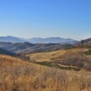 진고개농장 이미지