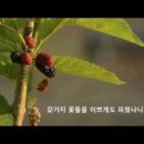 호명농장 이미지