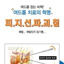 송 한의원 이미지