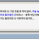 팬시랜드