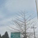 바다위 산아래 | 다음매일산악회 여자 혼자 북설악 마산봉 산행 다녀온 후기