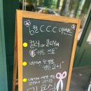라시옹 이미지