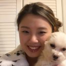 데잇트